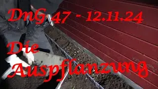DnG 47 - 12.11.24 - Die Auspflanzung - Der Grilljunky
