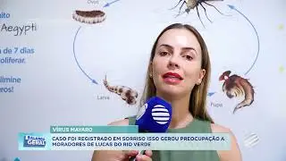 VÍRUS MAYARO