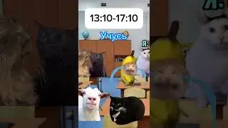 Мой день: 
