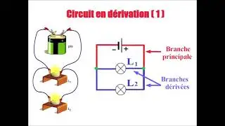 Circuit en dérivation 1 :  Branche principale et branches dérivées.