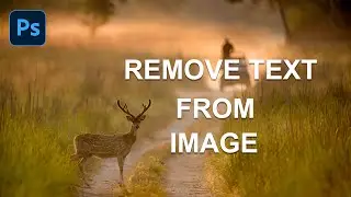 How to Remove Text from Image in Photoshop | Text Removal Photoshop Action 