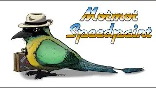 Bird Speedpaint - Panama Motmot