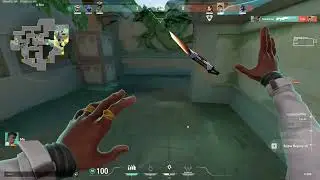 6k as phoenix