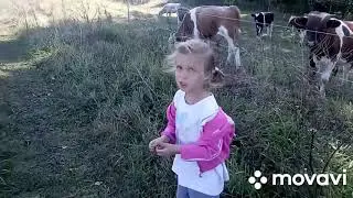 С дороги первым делом куда?