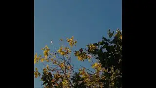 [FREE] Acoustic Guitar Type Beat - 
