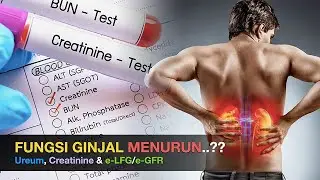 Bayang-bayang Penurunan Fungsi Ginjal di KFLS: Ureum, Creatinine, e-LFG/e-GFR