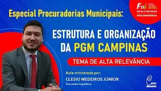 FNI Class - Special Municipal Prosecutors' Offices | Structure and Organization of PGM Campinas