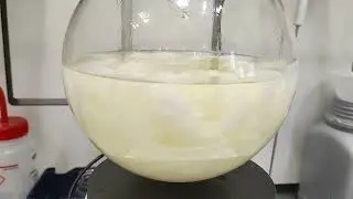 Awesome flocculation of some sugar derivative (courtesy of Maurice)