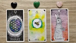 👉UNIVERSE'S PLAN FOR YOU NEXT! 🌌✨🚪 Pick A Card 🔮✨ Timeless Tarot Reading