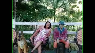 Mirtes Paixão