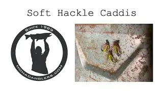 Fly Tying - Soft Hackle SH Caddis