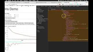 TensorFlow.js Iris example part 1- Introduction