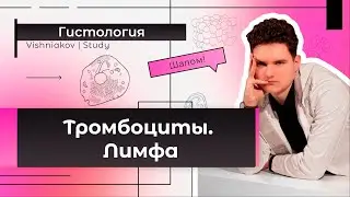 Гистология | ТРОМБОЦИТЫ. ЛИМФА