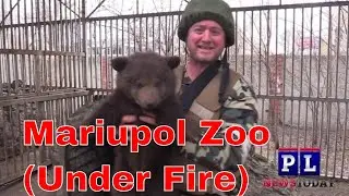 Mariupol Zoo Under Fire: Russia - Ukraine War