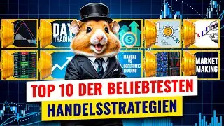 Die beliebtesten Handelsstrategien und wie sie funktionieren ⚡️ Hamster Academy