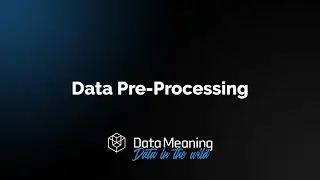 Data Pre-Processing Best Practices and Applications