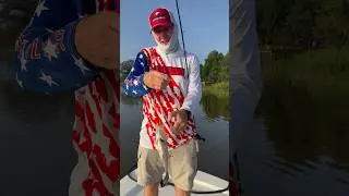 Gotta RUB all over her apparently 👀 #shorts #crappie