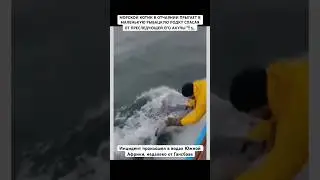 Рыбак, не задумываясь о собственной безопасности, протягивает руки и помогает 🔥❤️