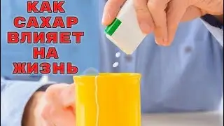 Искусственные подсластители увеличивают потребность в сахаре