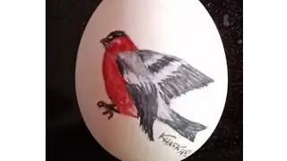#Unique art #egg painting #wildlife #art lover abbas Khaskheli #bird #drawing.