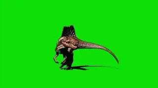 New green screen video | copyright free 