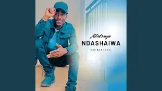Ndatsvaga Ndashaiwa