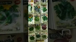 Фикс Прайс февраль 2024✅️Семена🍀Сад-огород🌻#фикспрайс#семена#сад#садоводство#садогород#огород#shorts