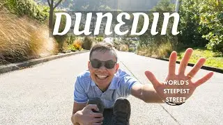Exploring Dunedin and our Pregnancy Announcement | New Zealand Autumn Roadtrip | Ep 08