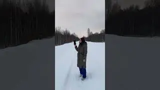 Сумеречный учет воробьиного сыча. Больше о совах в моих блогах⬇️