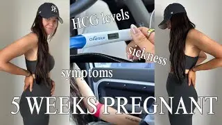 5 Weeks Pregnant: Symptoms, HCG Levels, and Pregnancy After Loss