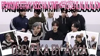 [Русская озвучка by Ayka] Реакция Stray Kids на клип 