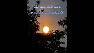 (وَلَا تَحْسَبَنَ اللَّهُ غَافِلَا عَمَّا يَعْمَلُ الظَّالِمُونَ) #allah#اسلام_صبحي#القرآن_الكريم#
