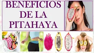 BENEFICIOS DE LA PITAHAYA O FRUTA DEL DRAGON