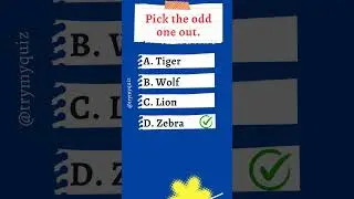 Choose the one that does not belong to the group. #oddoneoutchallenge  #spottheoddoneout #spottheodd