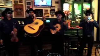 Sweet Child of Mine Mariachi 11 01 13