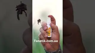 Spray for catching crucian carp