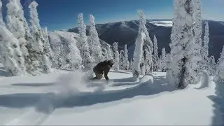 Snowboard  Freeride in the fairy forest