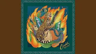 Candela Viva