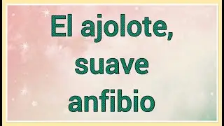 El ajolote , suave anfibio