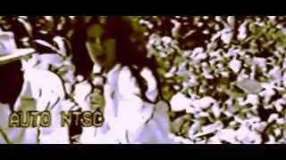 1.Documentário: Cultura Racional