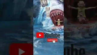 shark