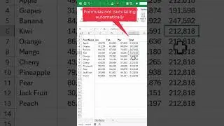 MS Excel formulas not showing correct result 