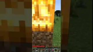 2 x 2 smallest house in minecraft 🤓🤑