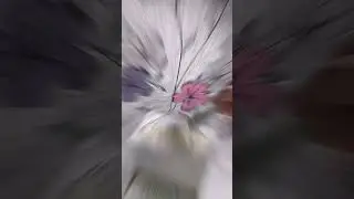 ✅ КТО ЛЮБИТ ПОДАРКИ !