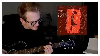 Spinvis - De Grote Zon (cover)