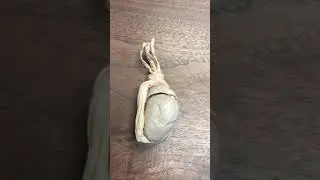 Testicle