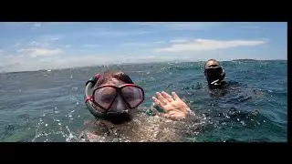 NSW South Coast Snorkelling Trip 2022 - Jervis Bay