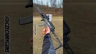 VZ.61 in new chassis and GIS silencer!
