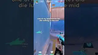 STINGER IS THE BEST ECO ROUND GUN 