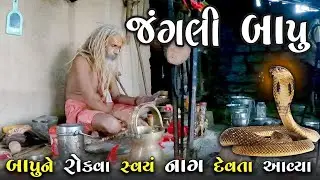 જંગલી બાપૂએ નાગા સાધુ વિશે રહસ્યમય વાત કરી જણીને ધ્રુજી જશો ॥ Jungali Bapu || Jungali bapu video